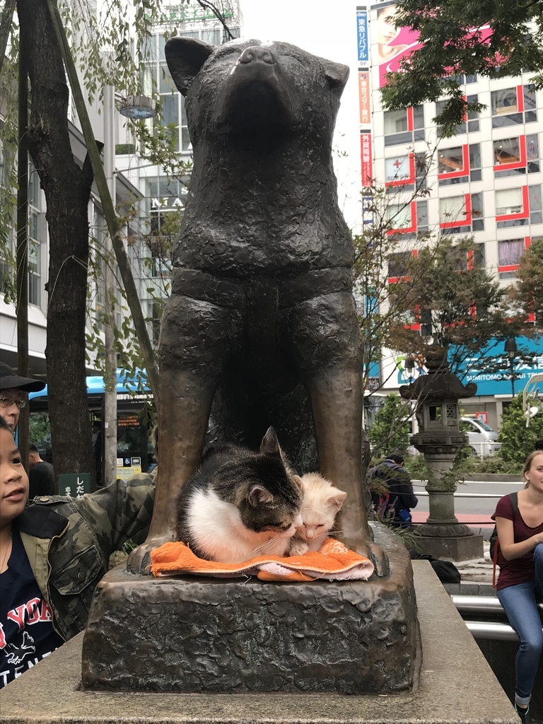 渋谷の忠犬ハチ公の銅像の所に可愛い猫がいてビックリしました オッドアイ白猫とマンチカンのブログ 渋谷の忠犬ハチ公の銅像の所に可愛い猫がいてビックリしました オッドアイ白猫とマンチカンのブログ